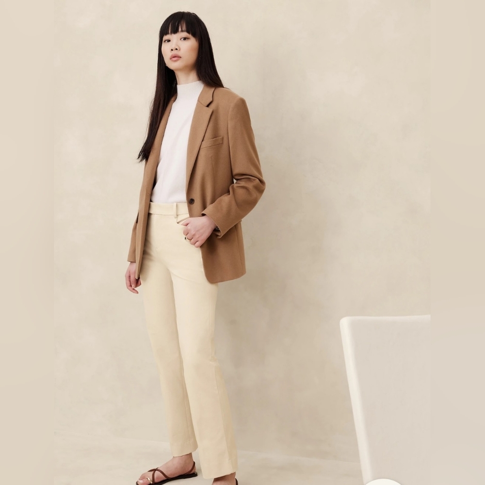 Banana Republic Straight Sloan Pant